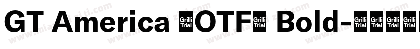 GT America (OTF) Bold字体转换